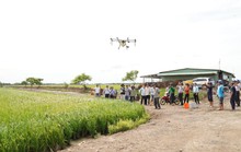 Nông dân miền Tây ngạc nhiên với thiết bị bay phun thuốc trừ sâu