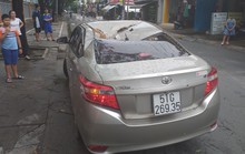 TP HCM: Cây xanh bật gốc đè ôtô, quận Tân Phú cúp điện