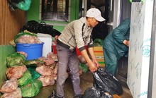 Thất kinh phát hiện lượng lớn thịt heo thối tại 1 cơ sở kinh doanh ở Đà Lạt