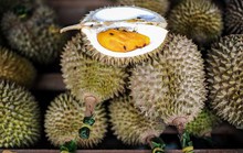 5 điều ít biết về vua trái cây sầu riêng