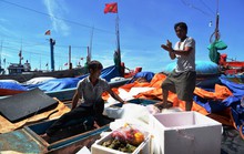 NHỮNG KÌNH NGƯ CỦA BIỂN: Lý Sơn - miền sói biển