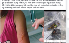 Bất thường thương lái thu mua bọ độc 3 sọc giá trên trời