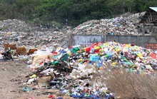Bỏ phương án đưa rác từ Côn Đảo vào đất liền chôn lấp