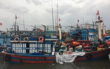 Quảng Bình: Tàu cá bị sóng đánh chìm khi vào trú bão, 2 thuyền viên gặp nạn