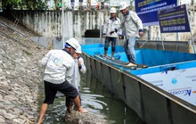 Chuyên gia Nhật Bản sẽ tắm nước sông Tô Lịch sau xử lý