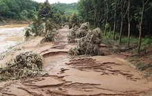 Nhiều khu vực tỉnh Bình Phước thiệt hại hơn 7 tỷ đồng do mưa lũ
