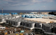 Nhật Bản phải đổ nước nhiễm phóng xạ ra biển vì hết chỗ chứa?