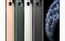 Nhà bán lẻ rục rịch cho khách hàng đặt hàng iPhone 11
