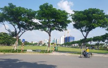 Đà Nẵng kháng cáo lại bản án trong vụ kiện với doanh nghiệp