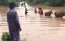 Quảng Trị: Mưa lớn khiến nhiều vùng bị nước dâng chia cắt