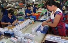 Không thiết tha với lương hưu
