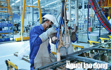 Công đoàn Việt Nam đồng hành với Chính phủ nâng cao năng lực cạnh tranh quốc gia