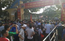 Trâu chọi chưa vào sới, sân Đồ Sơn đã thất thủ