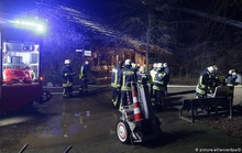 Đức: Pháo hoa giao thừa làm cháy và chết hết khỉ ở khu bảo tồn