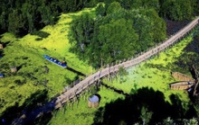 Ngỡ ngàng chiếc cầu tre dài nhất Việt Nam nằm giữa rừng tràm