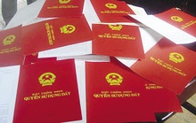 Chủ tịch tỉnh Bình Định yêu cầu điều tra các đường dây làm giả sổ đỏ