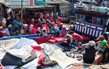 Tàu cá Quảng Ngãi chê cảng nhà