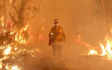 Cháy rừng ở Úc: Tình người trong thảm họa