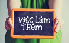 Người tìm việc làm thời vụ dịp Tết, những vấn đề cần lưu ý