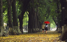 Mưa mùa thu