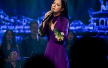 Đinh Hiền Anh tổ chức đêm nhạc quyên góp cho người dân vùng lũ miền Trung