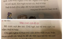 Sách giáo khoa Tiếng Việt lớp 1 đầy sạn: Hãy để xã hội kiểm định, lựa chọn sách giáo khoa!
