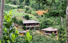 Làng biệt thự trái phép trong rừng: UBND tỉnh Lâm Đồng chỉ đạo khẩn, cắt điện trung thế