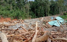 Vụ sạt lở ở Phước Sơn vùi lấp 11 người: Lực lượng cứu hộ phải ngủ lại trong rừng