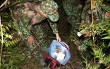 Nhóm buôn ma túy nổ súng chống trả, vứt lại 30 bánh heroin bỏ trốn