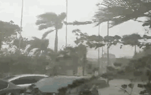 CLIP: Những thiệt hại ở Quảng Bình sau bão số 13 đi qua