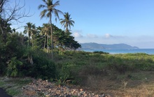 Xuất hiện nhiều nghi vấn quanh 2 hồ sơ đấu giá khu đất 80.000m2 tại Côn Đảo