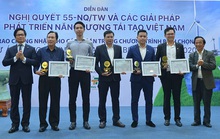 Dự án năng lượng tái tạo tiêu biểu Việt Nam năm 2020