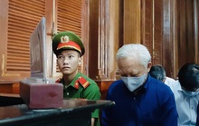 Đại diện VKS nói gì về sai phạm do Trần Phương Bình gây ra cho Ngân hàng TMCP Đông Á?
