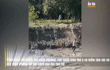 Video: Kinh hoàng Hổ Bengal truy đuổi người