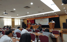 Kiều bào đóng góp nhiều ý kiến tâm huyết