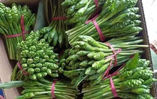 Rau nhà nghèo phủ sóng khắp Thủ đô, thượng đế tranh nhau mua
