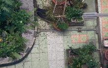 Cựu sinh viên rơi lầu tử vong tại Trường ĐH Ngoại ngữ - Tin học TP HCM