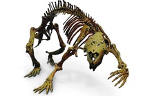 Hãi hùng con thú điên nguyên vẹn 66 triệu tuổi, sống giữa khủng long