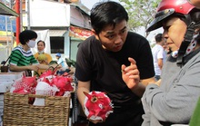 Nâng tầm quả thanh long tỉ đô