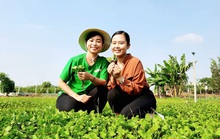 Đưa nông sản Việt sang trời Tây