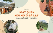 Loạt quán mới ở Đà Lạt được giới trẻ yêu thích