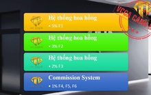 Tham gia tư vấn, đầu tư trên sàn Forex có thể bị xử lý hình sự