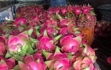 Những điều tốt, dù là nhỏ nhất của sẽ góp phần làm xã hội tốt đẹp hơn