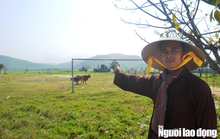 Quảng Bình: Lo ngại dự án giết mổ heo uy hiếp chùa cổ, nhà dân