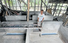 Bùng phát cúm gà, dịch tả heo châu Phi