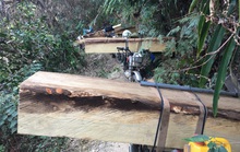 Vụ đoàn lâm tặc rầm rộ đưa gỗ ra khỏi rừng: Tiếp tục bắt 13 xe chở gỗ lậu