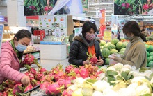 Tìm giải pháp tiêu thụ 90.000 tấn thanh long