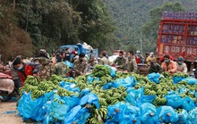 Bát phương chi viện cho Vũ Hán