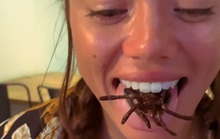 Quán phục vụ món nhện tarantula và côn trùng