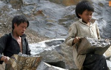 520.000 trẻ em làm việc nặng nhọc, độc hại, nguy hại